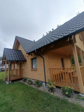 Kaszubski dom pod lasem